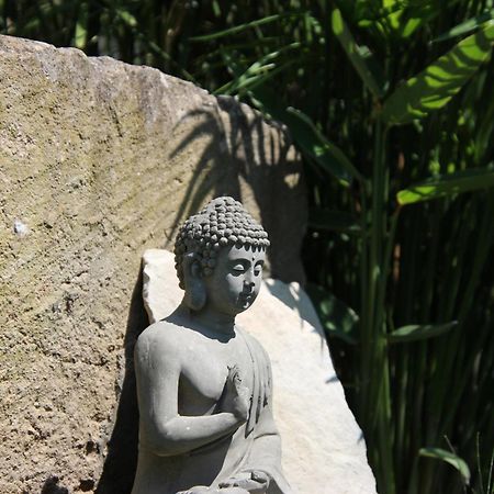 Le Mas Cothy En Provence Roquemaure  Ngoại thất bức ảnh