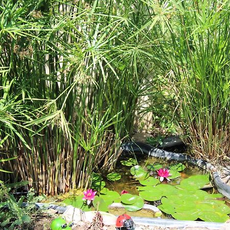 Le Mas Cothy En Provence Roquemaure  Ngoại thất bức ảnh