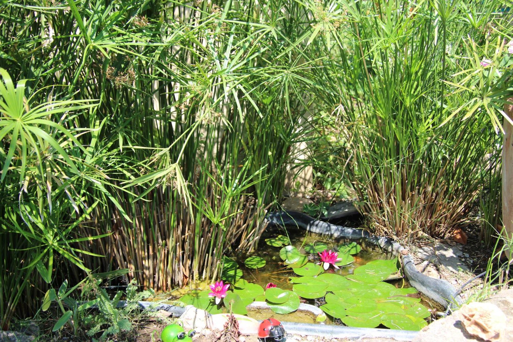 Le Mas Cothy En Provence Roquemaure  Ngoại thất bức ảnh