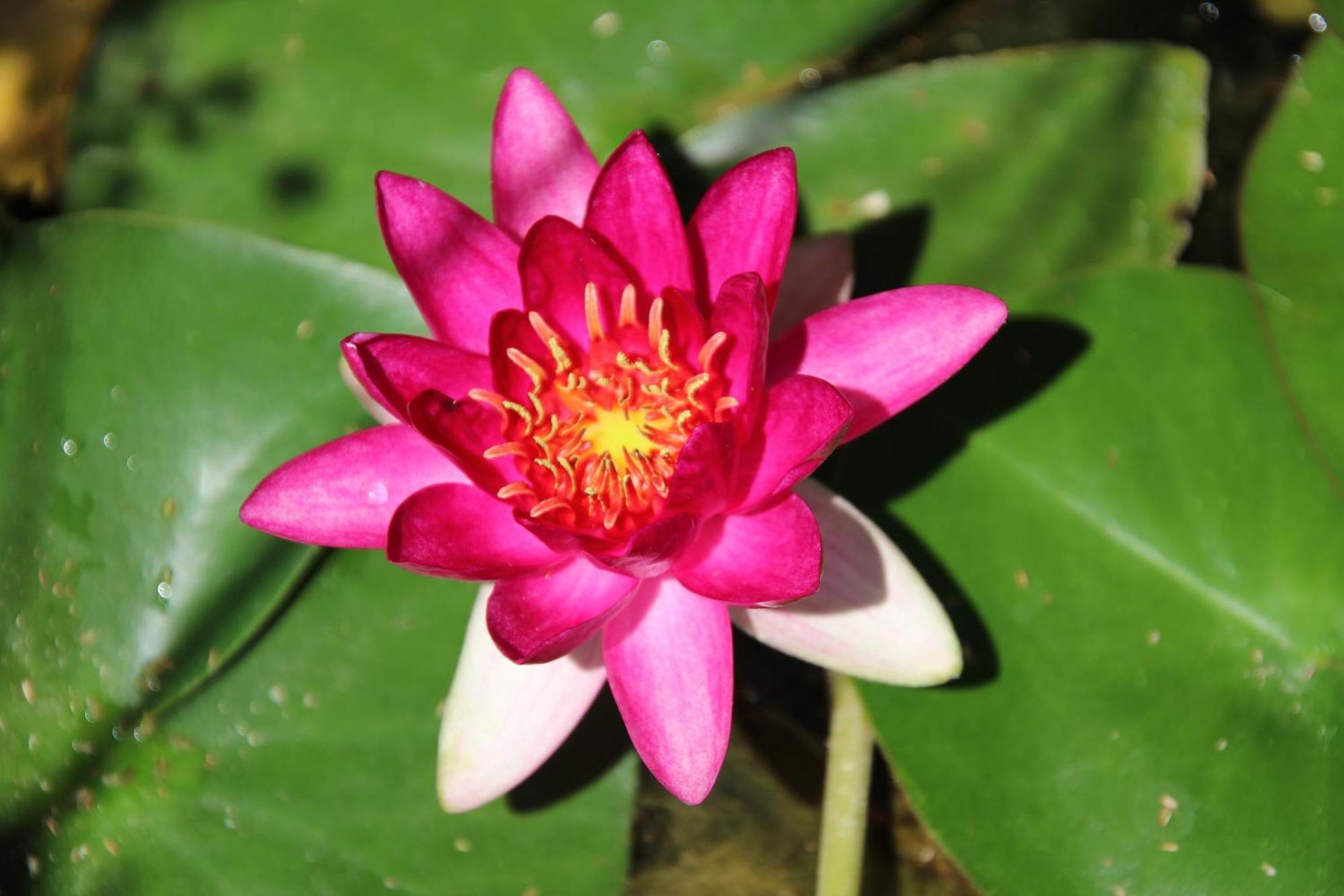 Le Mas Cothy En Provence Roquemaure  Ngoại thất bức ảnh